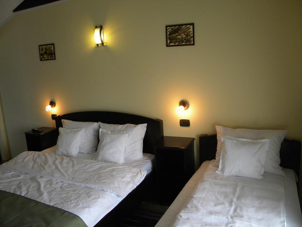 Pensiunea Mason'S Rîşnov Kamer foto